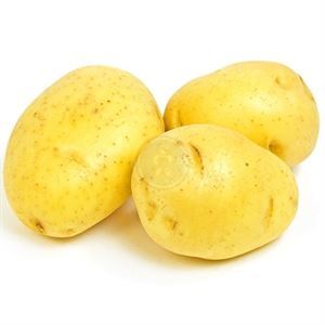 Yukon Gold Potato