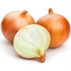Spanish Onion