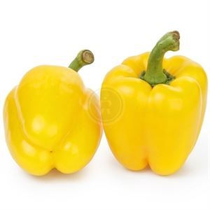 Yellow Pepper