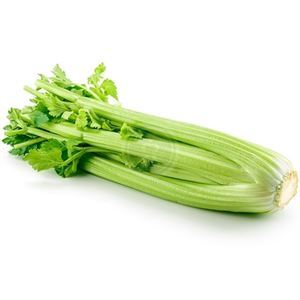Celery Stick - Cello