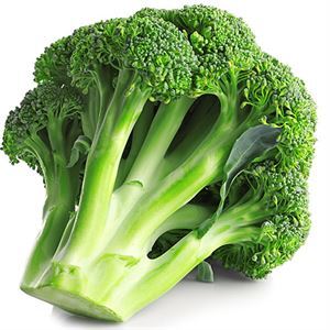 Broccoli