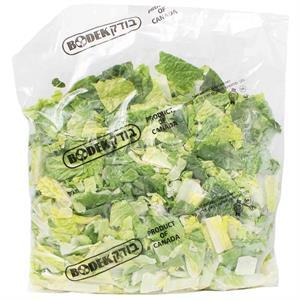 Bodek Romaine Lettuce